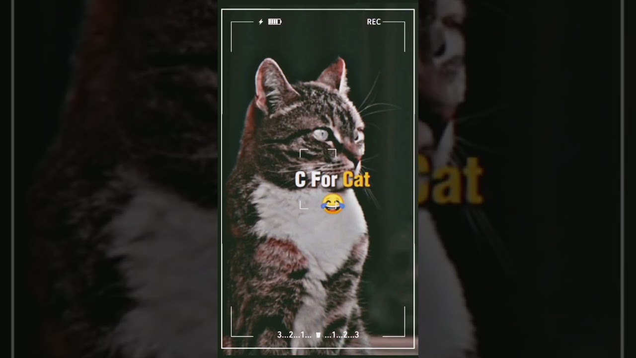 #motivational Quote#AttitudeQuote