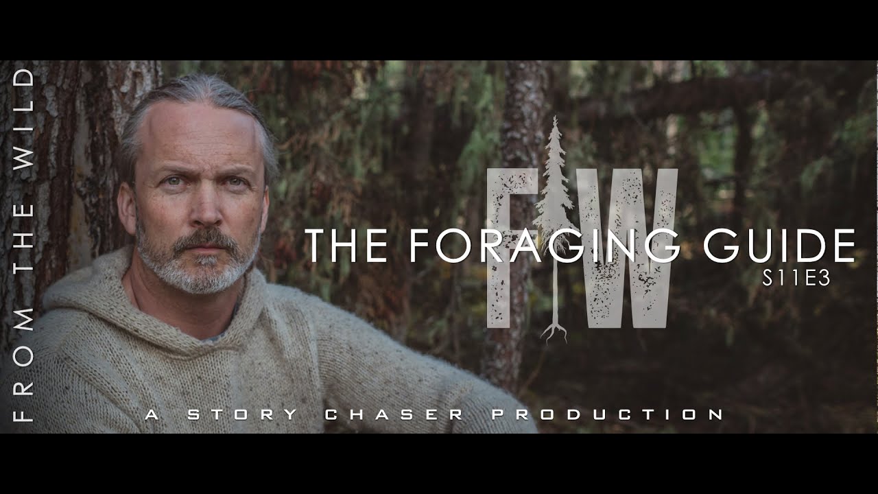 From The Wild - S11E3 - The Foraging Guide (Full Episode)