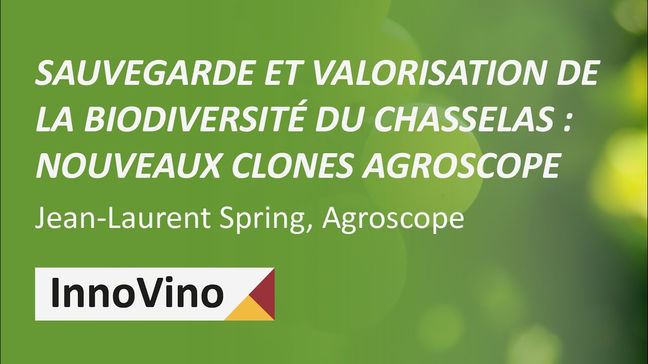 Sauvegarde et valorisation de la biodiversité du Chasselas - Jean-Laurent Spring Agroscope