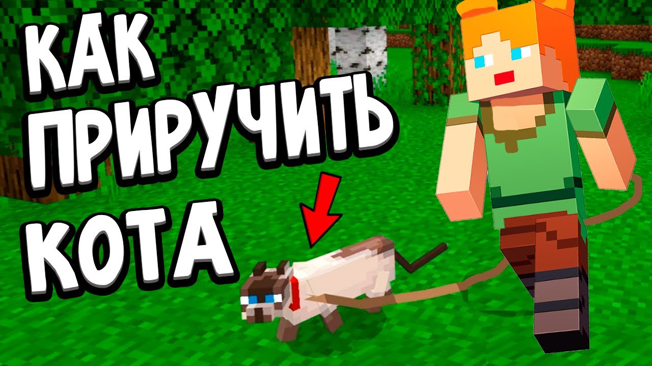 Как приручить кота ?🐈  ПАУК СЪЕЛ МОЕГО ВОЛКА 😭 майнкрафт выживание / Бабушка Шошо minecraft