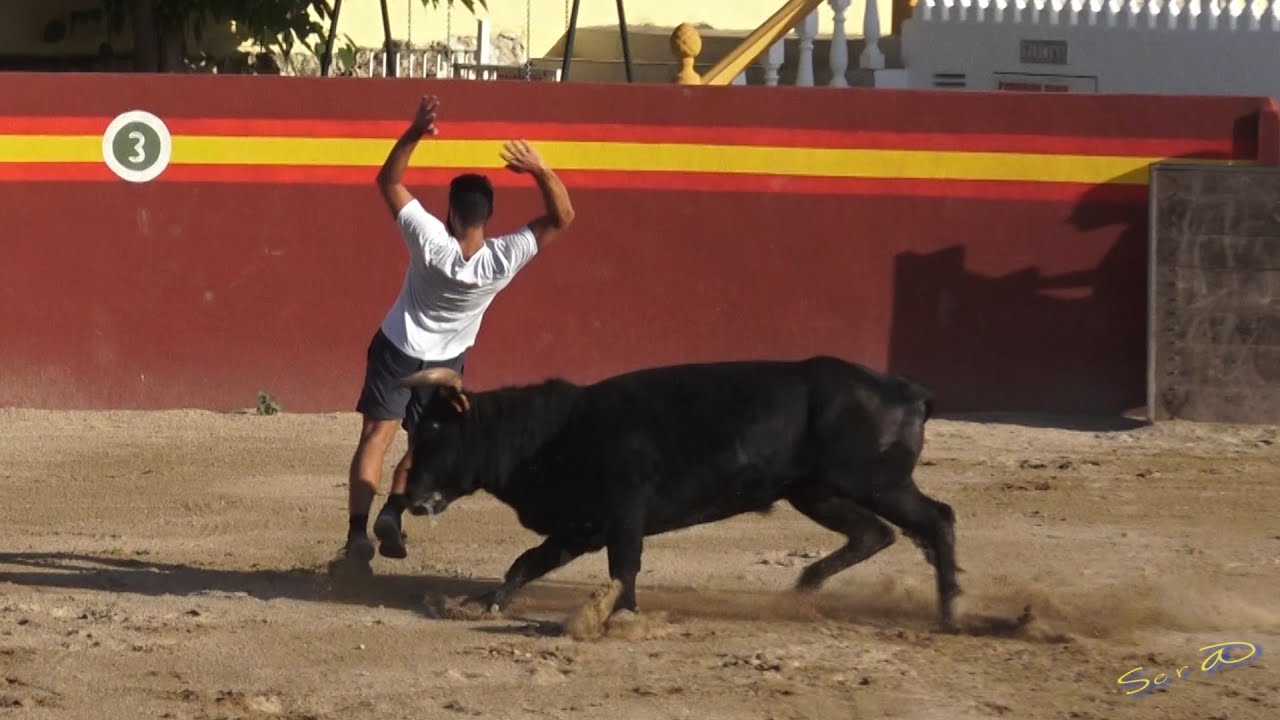 ✅GANADERIA CUCALA y Tentadero
