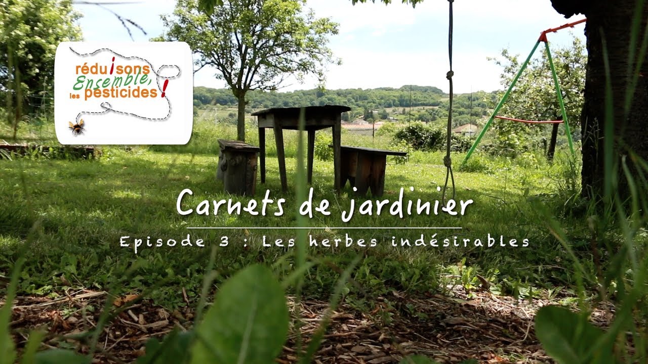 SMVVA Carnets de jardinier  épisode 3 : Les herbes indésirables