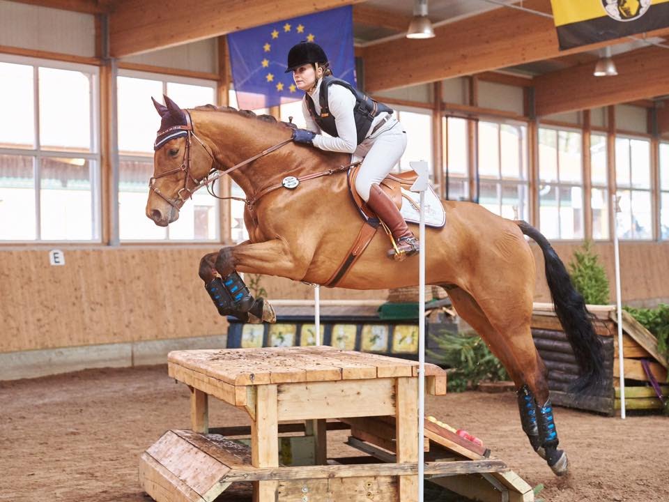 Indoor-Vielseitigkeit Kl. A* - Uetzingen - 2016
