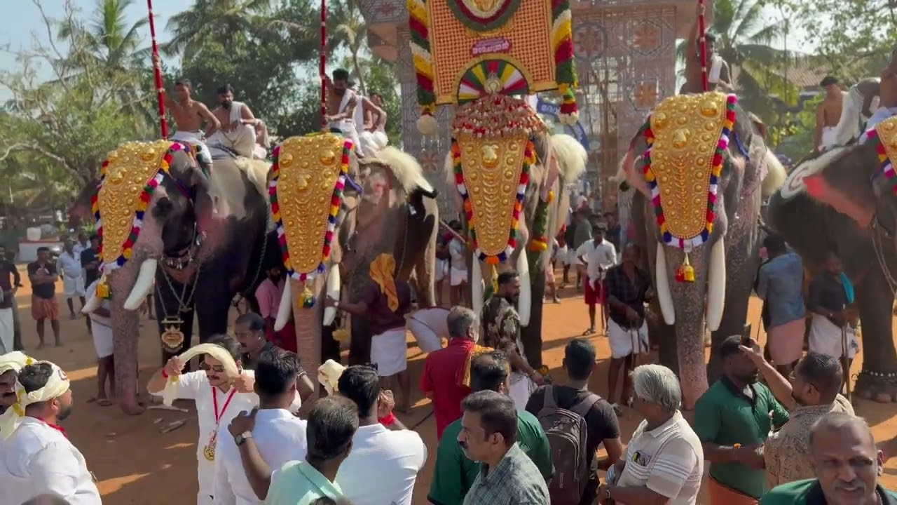Raman mass entry @ Akkikkavu pooram 