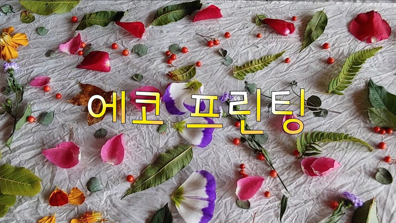 산청의 가을-자연염색 에코프린팅(두 번째)