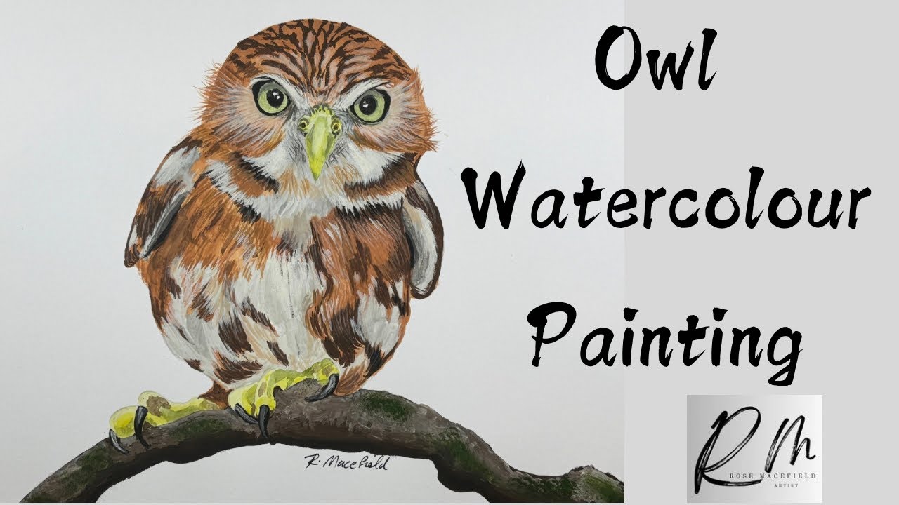 Painting a little owl in watercolour