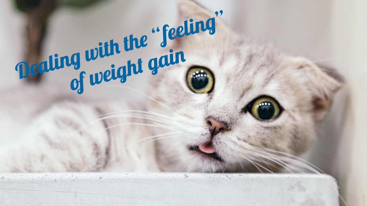 Dealing with the “feeling” of weight gain