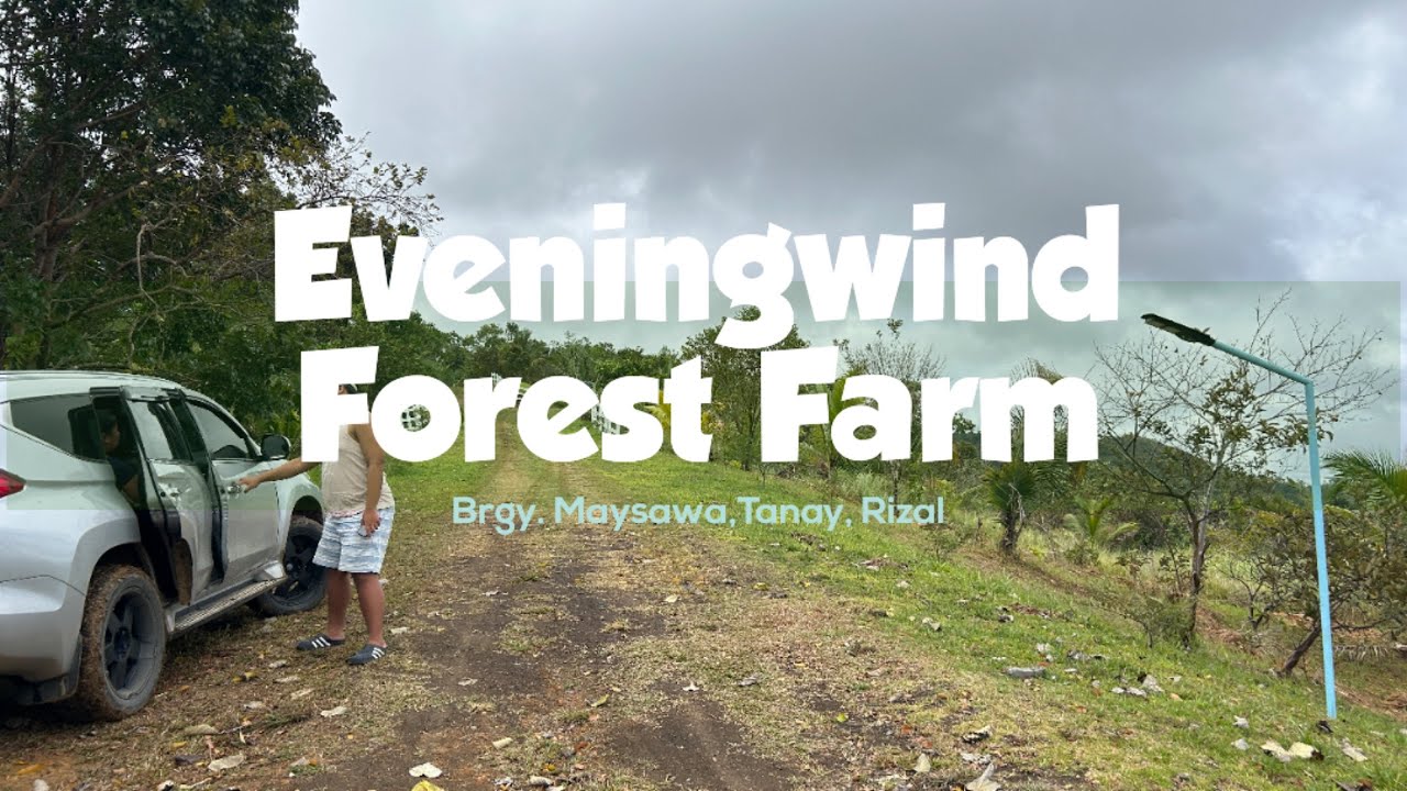 Eveningwind Forest Farm | Quick Tour | Tanay, Rizal | Blackdog