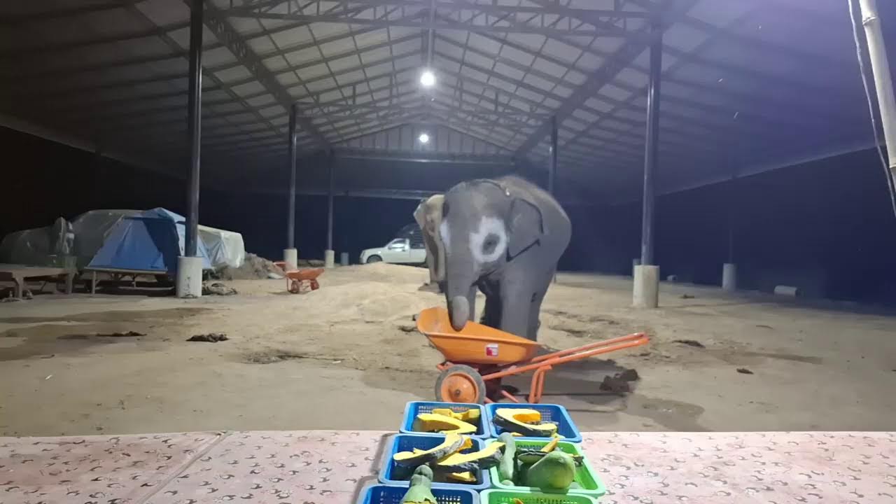 โอบๆ