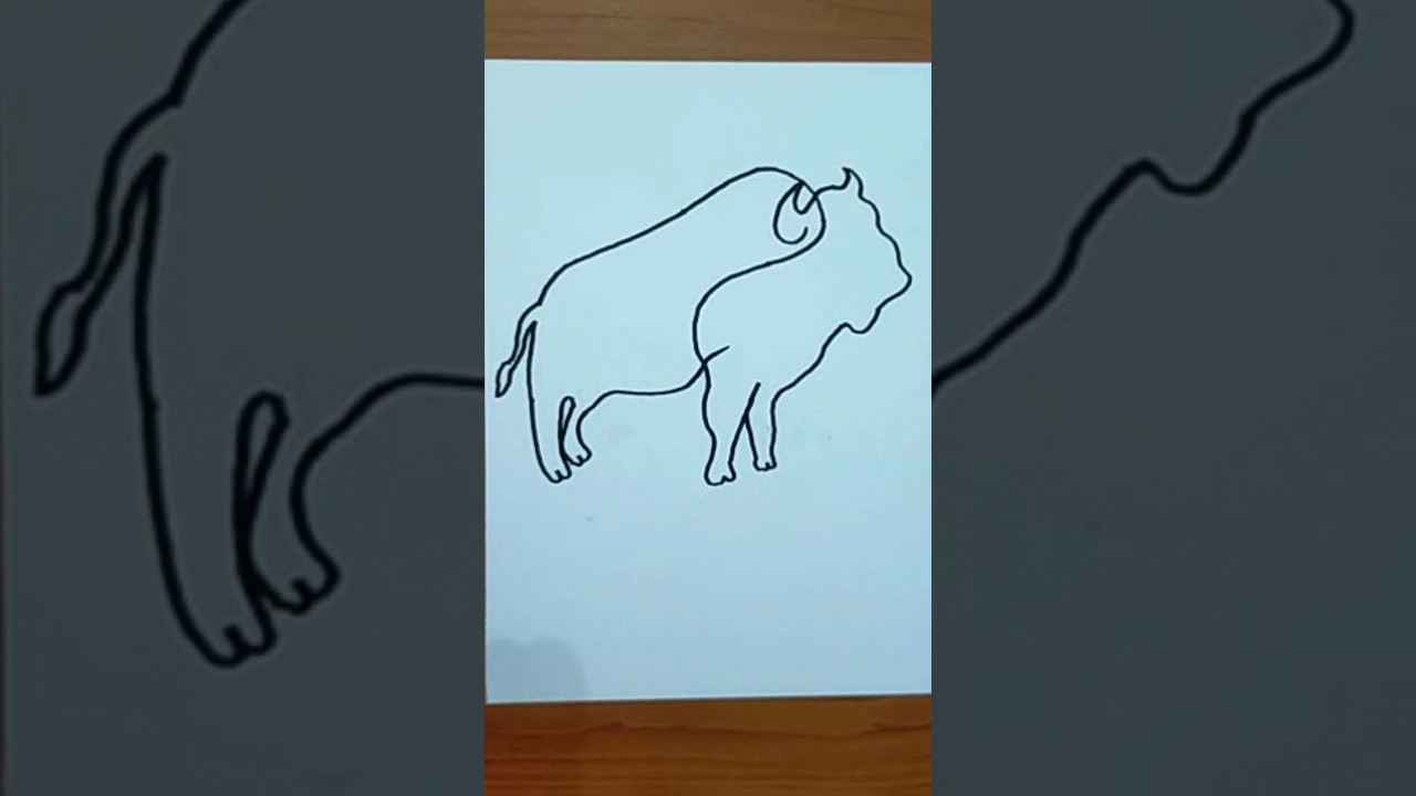 Bison One line drawing #shorts
