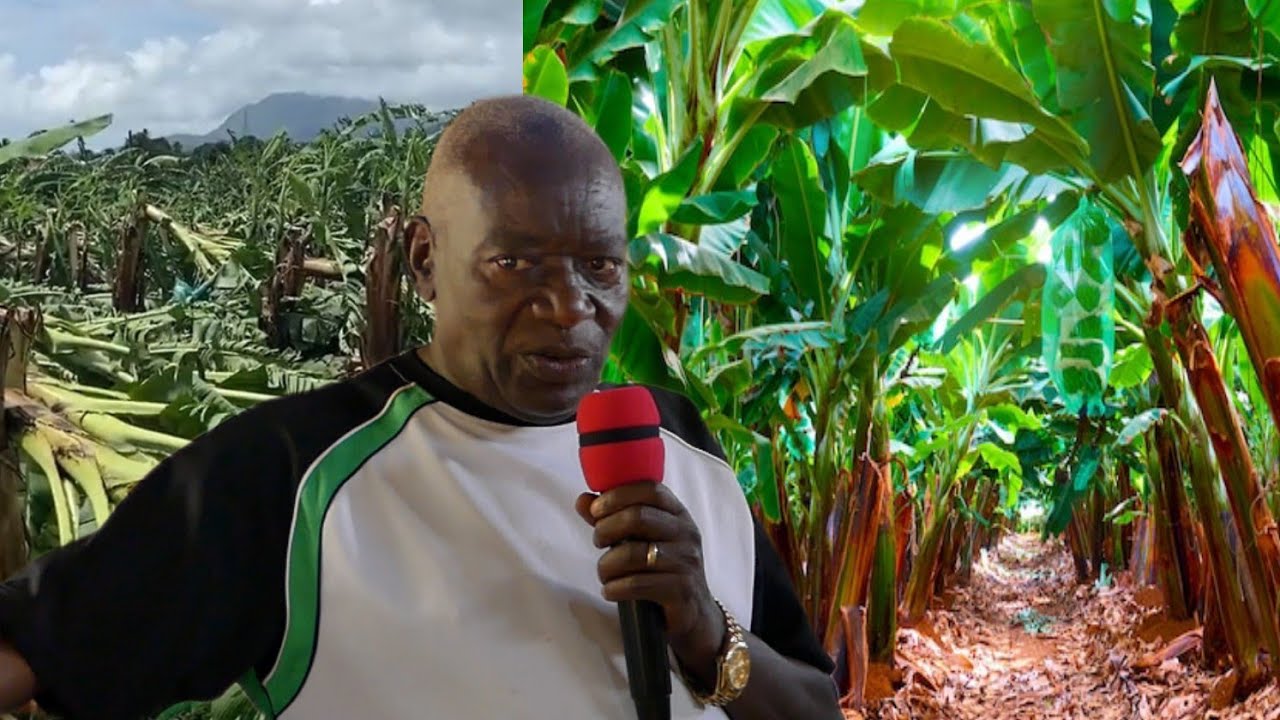 INTERVIEW|| ICIGWA CO KUGWIZA IBITOKI MU BURUNDI|| Umuhinga GATABAZI Jean|| NZERO 2025