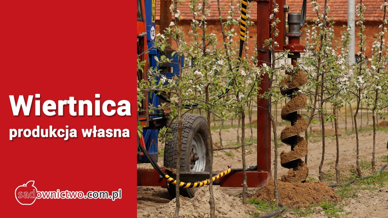 Wiertnica Jarka -  podczas pracy [sadownictwo]