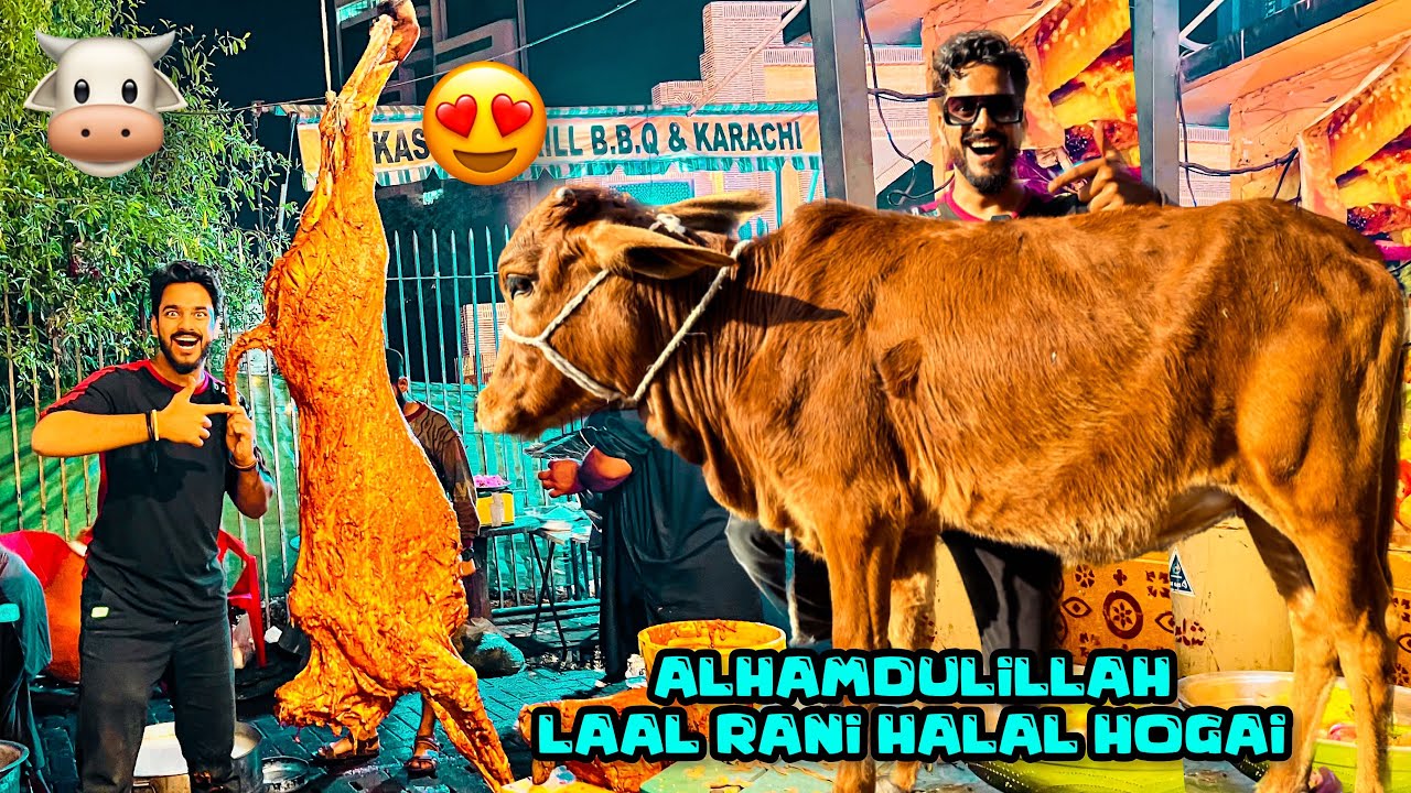 ALHAMDULILLAH 500 LOGON KI DAWAT KARDI | MISHKAT KHAN | THE FUN FIN