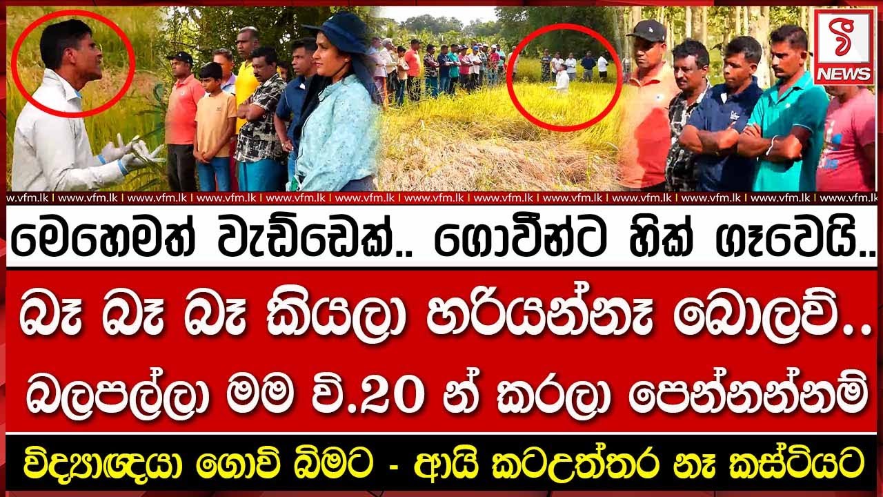 මෙහෙමත් වැඩ්ඩෙක්.. ගොවීන්ට හික් ගෑවෙයි..