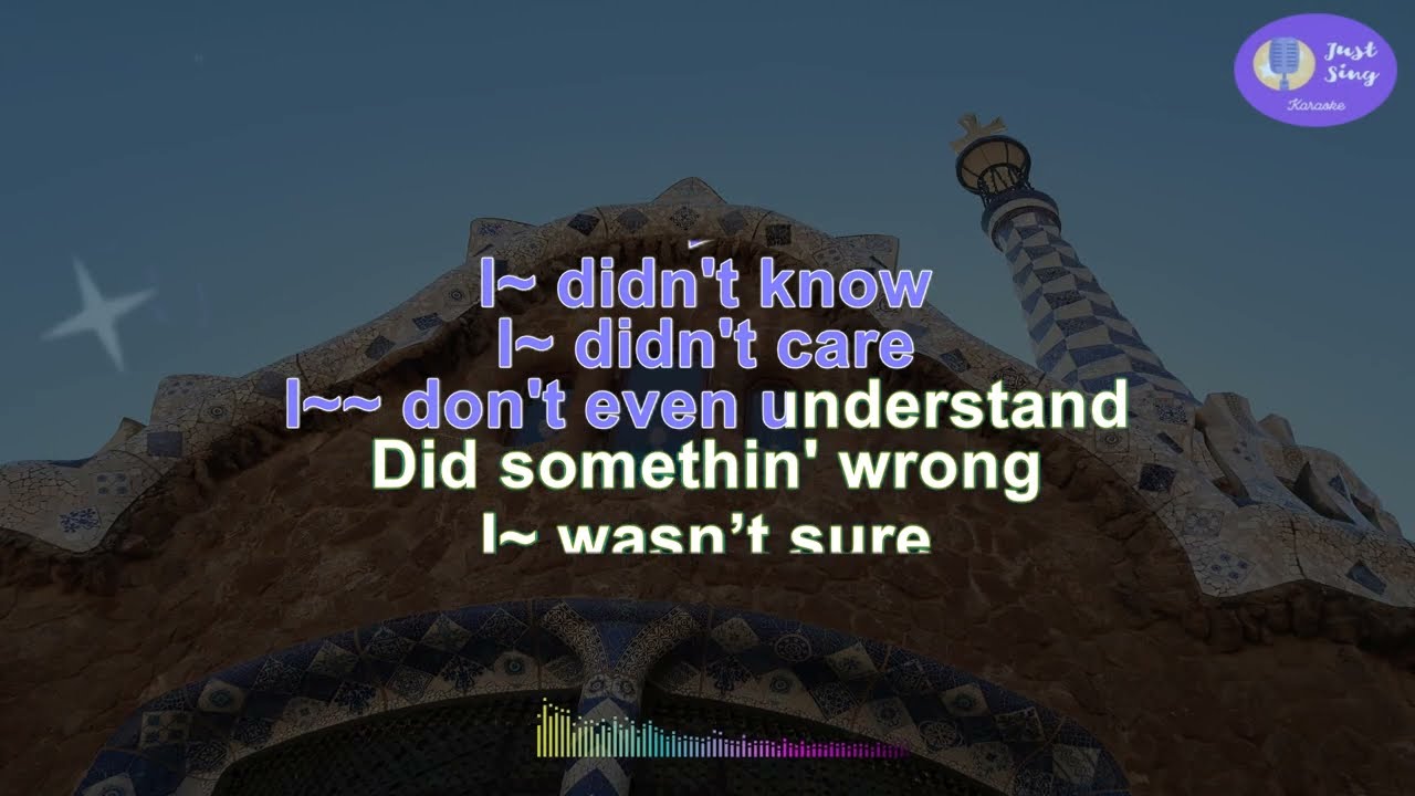 The Strokes - Not The Same Anymore  (Karaoke version)