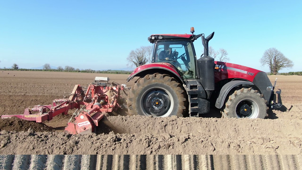 Potato Planting 2021