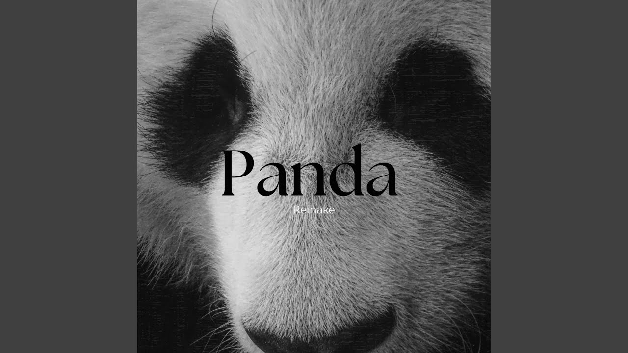 Panda (feat. MenaceGotBeats)