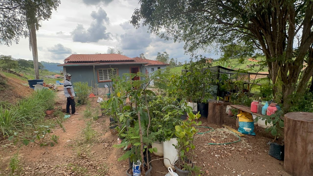 Sítio de 10 Alqueires à Venda em Bueno Brandão - MG