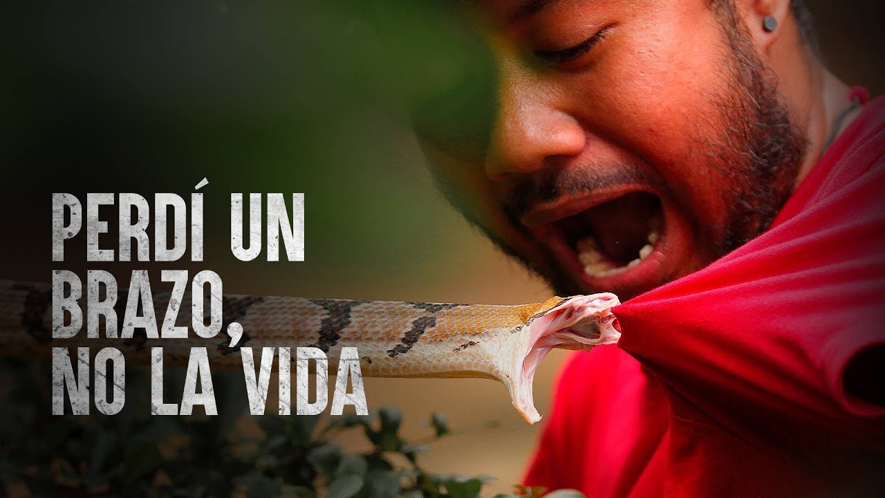 Las mordidas de serpientes más mortales (Parte III)