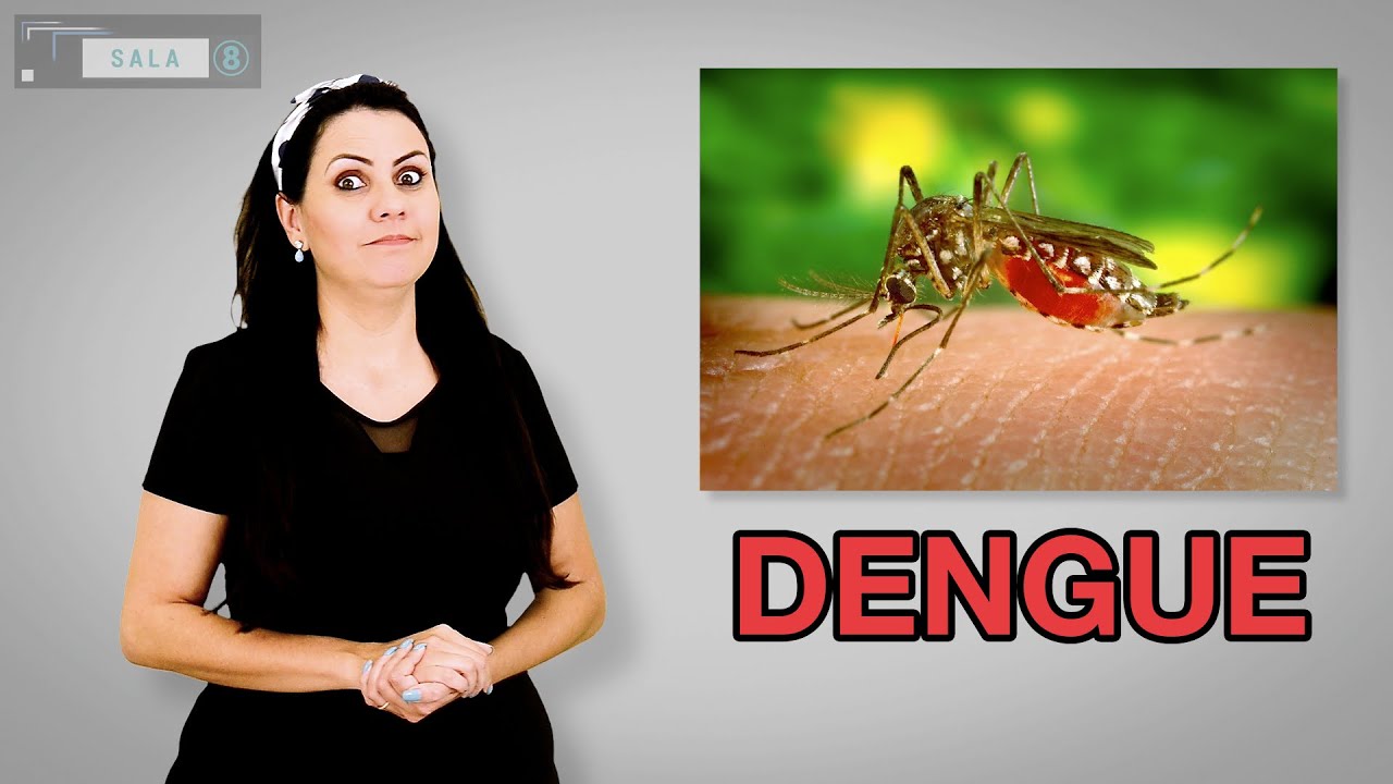 Ciências 006 - Dengue - Libras