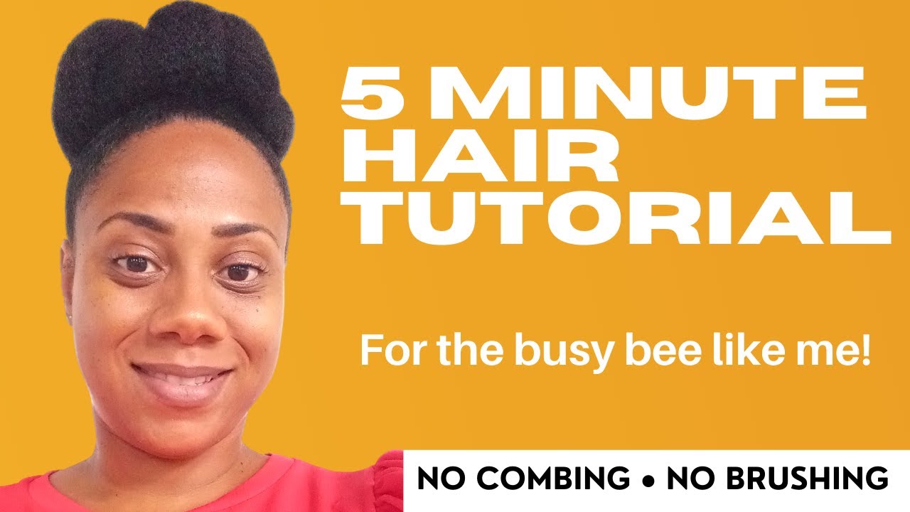 QUICK 5 MINUTE NATURAL HAIR TUTORIAL/NO COMBING NO BRUSHING