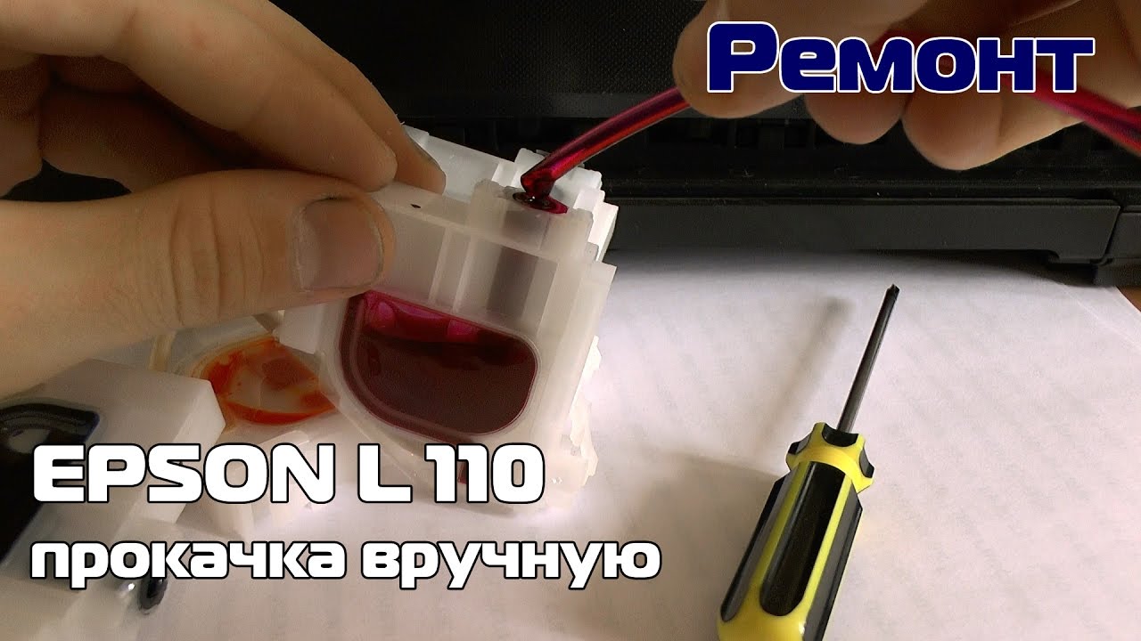 EPSON L110 разбор/прочистка дюз