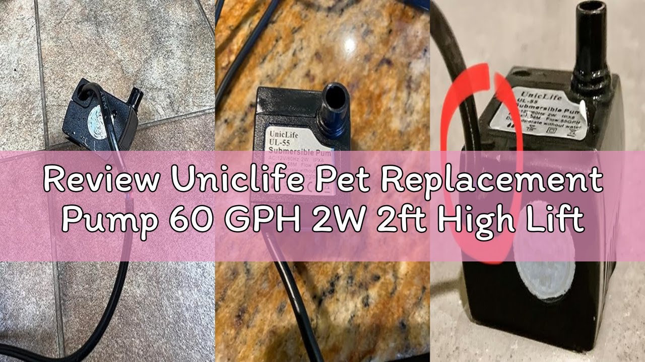Review Uniclife Pet Replacement Pump 60 GPH 2W 2ft High Lift Quiet Pump for Smart Pet Fountains 12 V