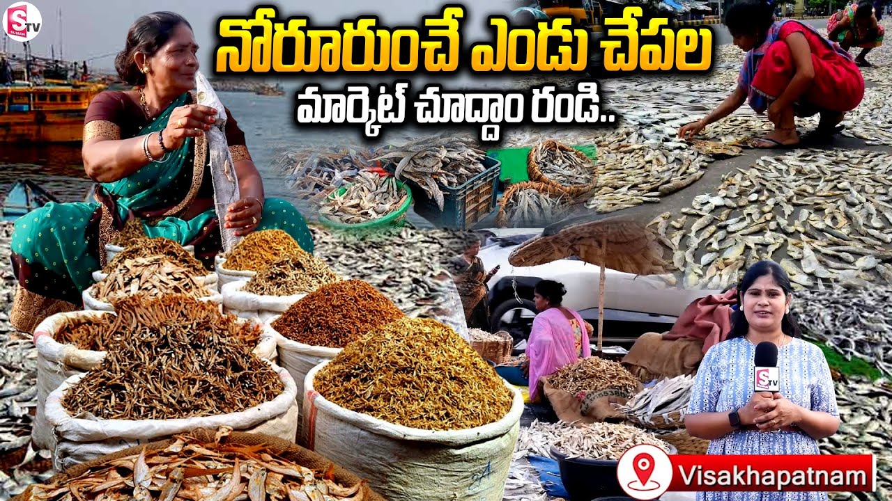 Vizag Famous Dry Fish Market : ఎండు చేపల మార్కెట్..! | Whole Sale Market | SumanTV