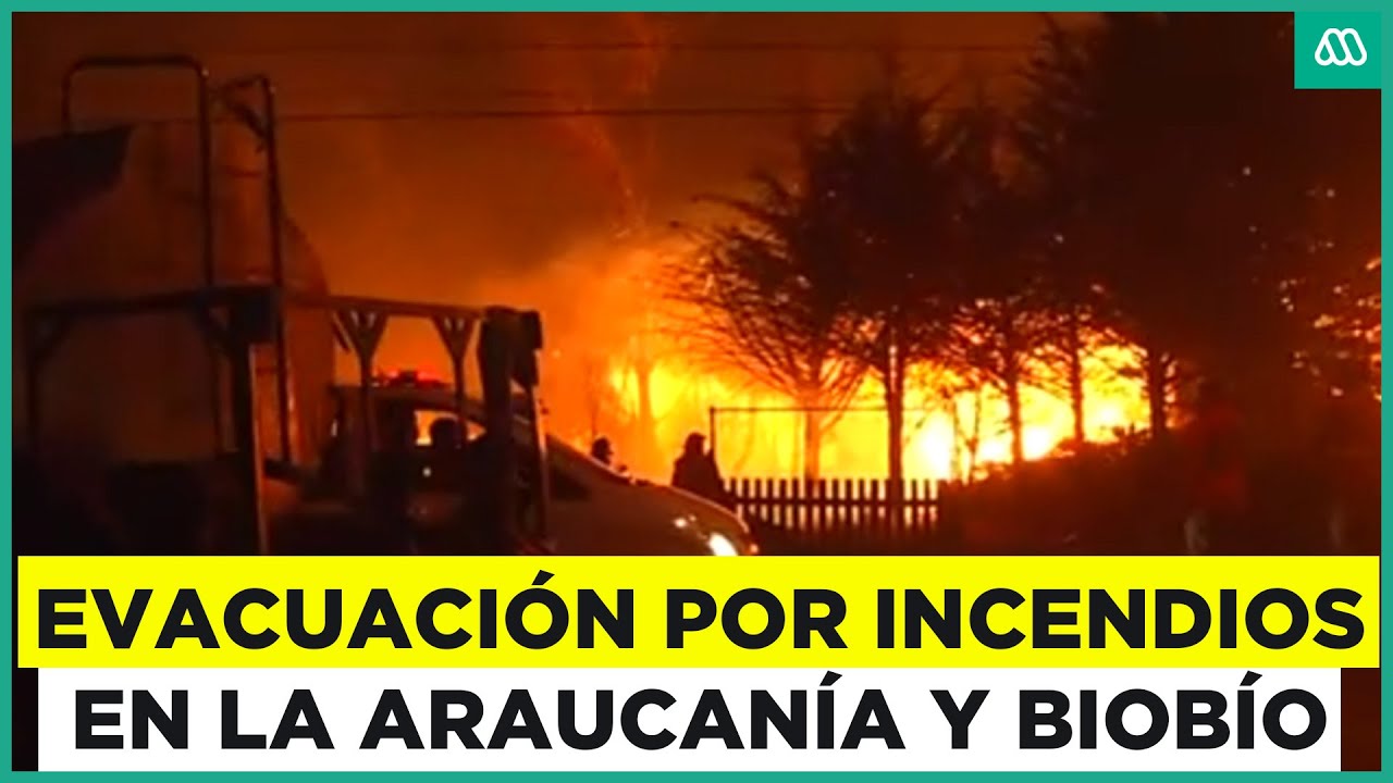 Alerta roja en Traiguén: Evacuaciones por incendios forestales en La Araucanía y el Biobío