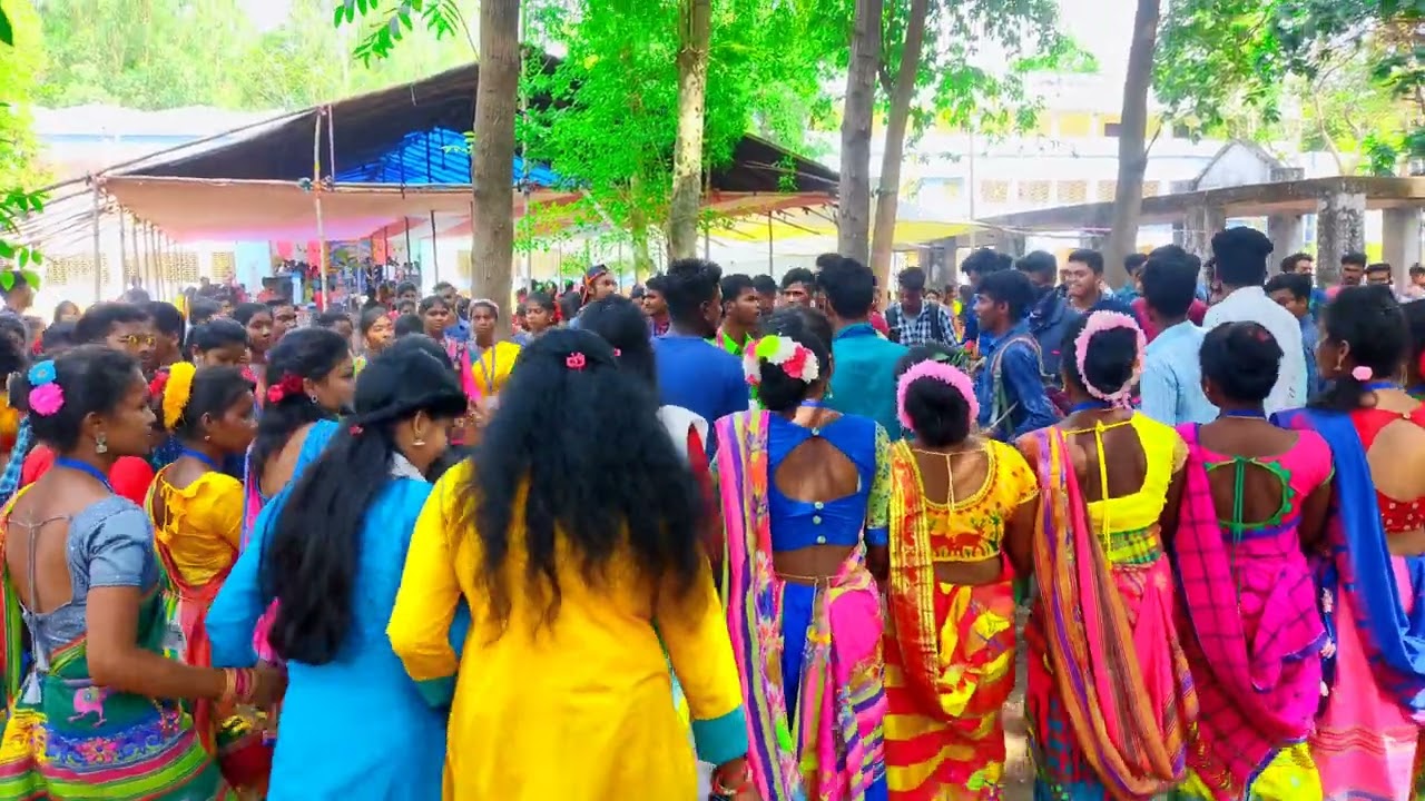Amder Saldiha College Nobin  Baran Anusthane Lagre nach/mandikoraofficial