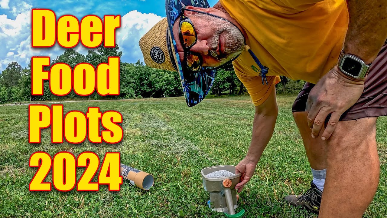 Planting Deer Food Plots in the Summer