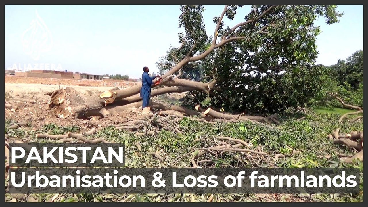 Pakistan urbanisation: Growing concerns over loss of farmlands