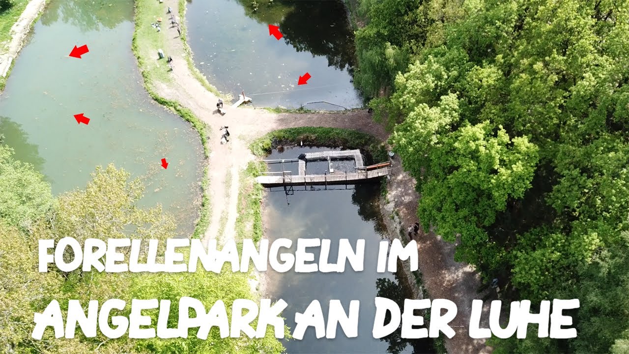 Forellenangeln im Angelpark an der Luhe | Die Elbcoastangler
