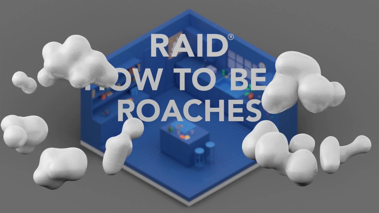 United States - Raid® How To Beat Roaches