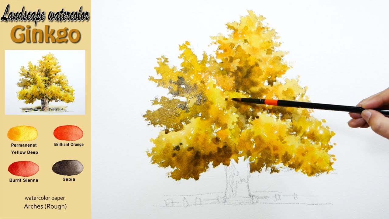 Базовая акварель - Гинкго wet-in-wet. ARCHES (Rough) NAMIL ART