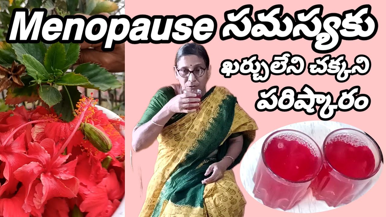 ఆడవాళ్ళ 𝗠𝗲𝗻𝗼𝗽𝗮𝘂𝘀𝗲 సమస్యకు ఇది చక్కని పరిష్కారం మన పెరటి మొక్కతోనే@love the garden Kumari.