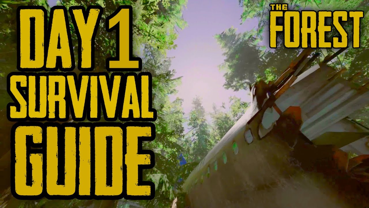 How to Survive DAY 1 - The Forest Beginners Guide