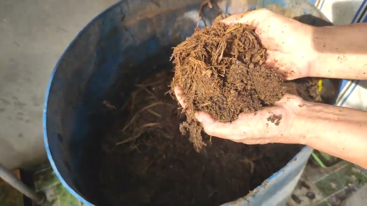 Chia sẻ c&aacute;ch l&agrave;m đất cho tơi xốp , trồng rau xanh tốt , tr&aacute;i trĩu gi&agrave;n | Khoa Hien 560