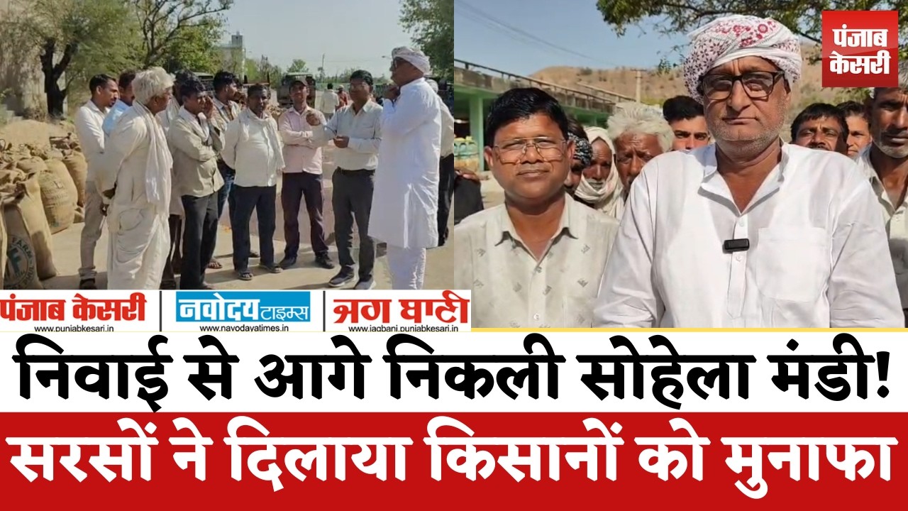टोंक की सोहेला मंडी बनी किसानों की लॉटरी!, सरसों की बंपर एंट्री! किसानों के चेहरे खिले