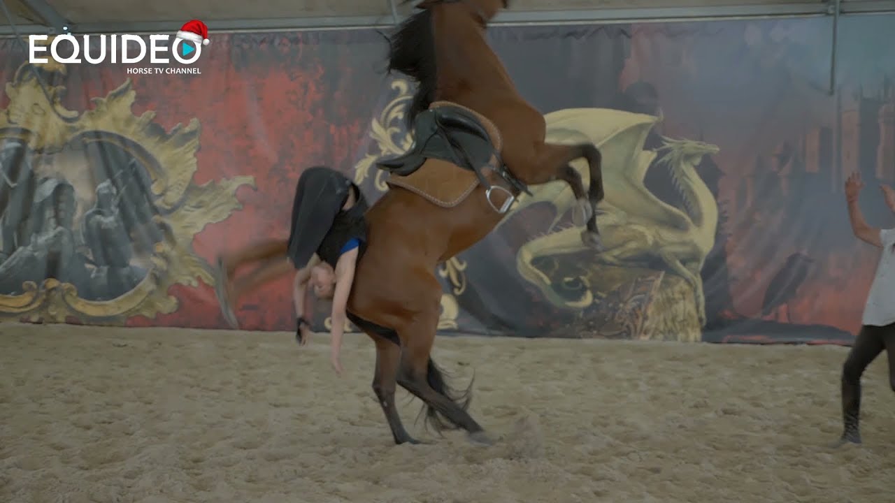 500 chutes à cheval pour votre sécurité