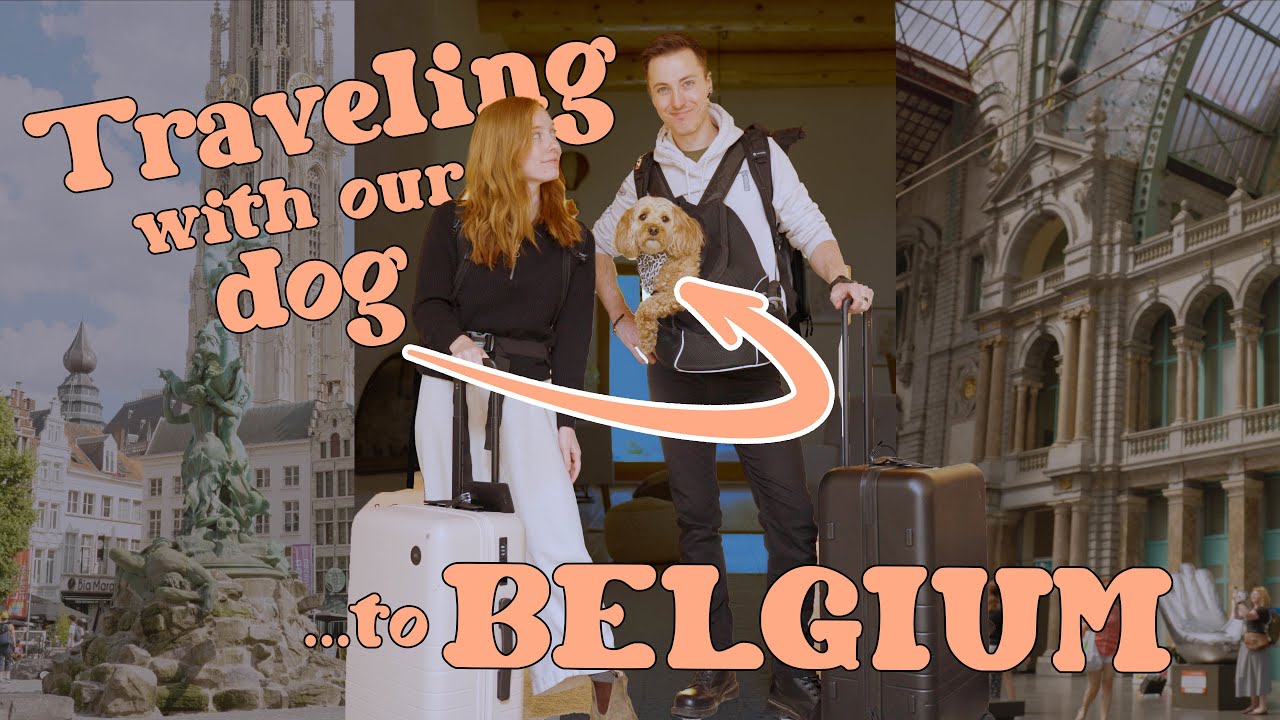 Antwerp, Belgium | Slow Traveling Europe with our Dog