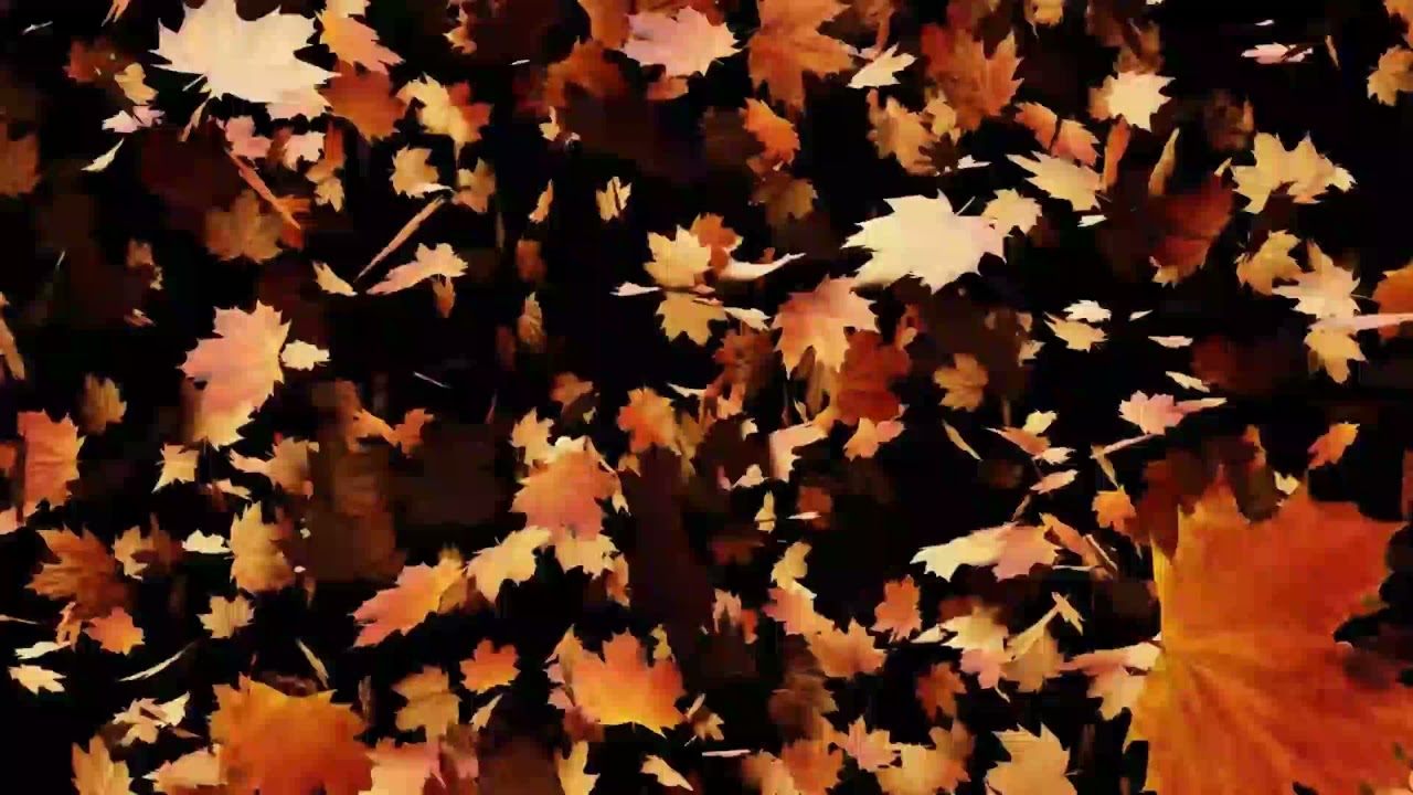 D&eacute;tente visuelle