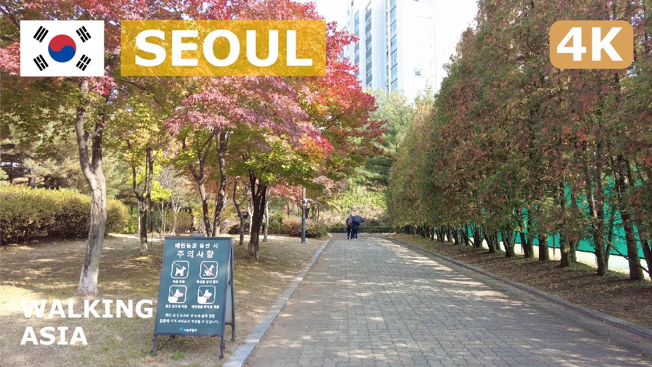 🇰🇷 South Korea, Seoul: Eungbong Park (Daehyeonsan Distributing Reservoir), Haengdang Autumn Tour, 4K