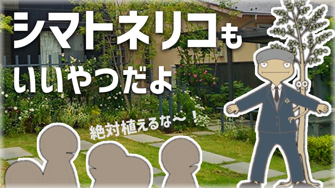 シマトネリコ裁判【番外編】