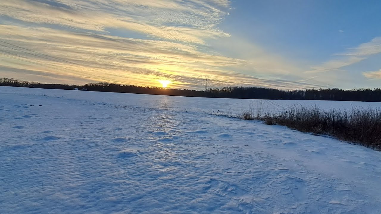 Schöner erster Windertag bei Schnee im Wald ( Januar 2026 ) | Eric KRETSCHMANN