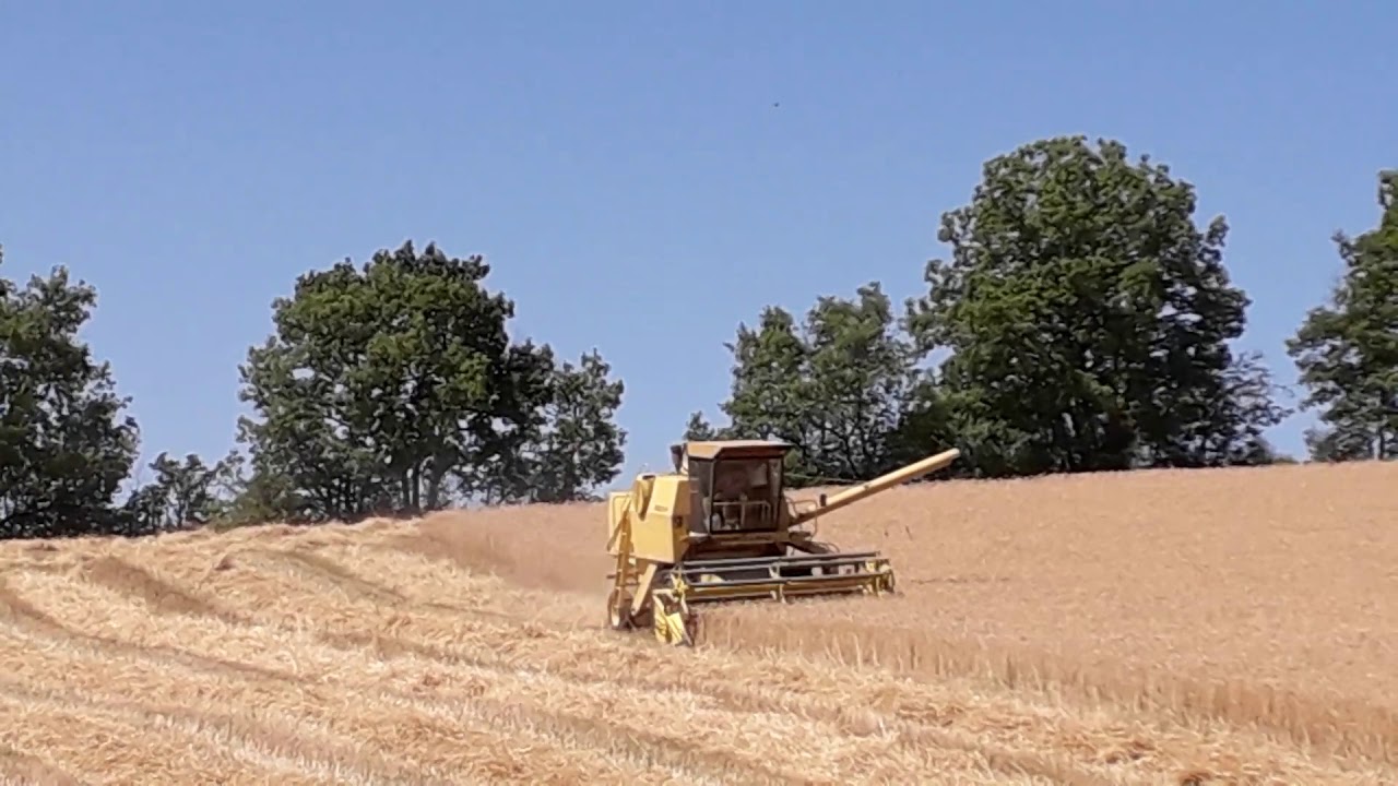 Moisson 2019 tonnac