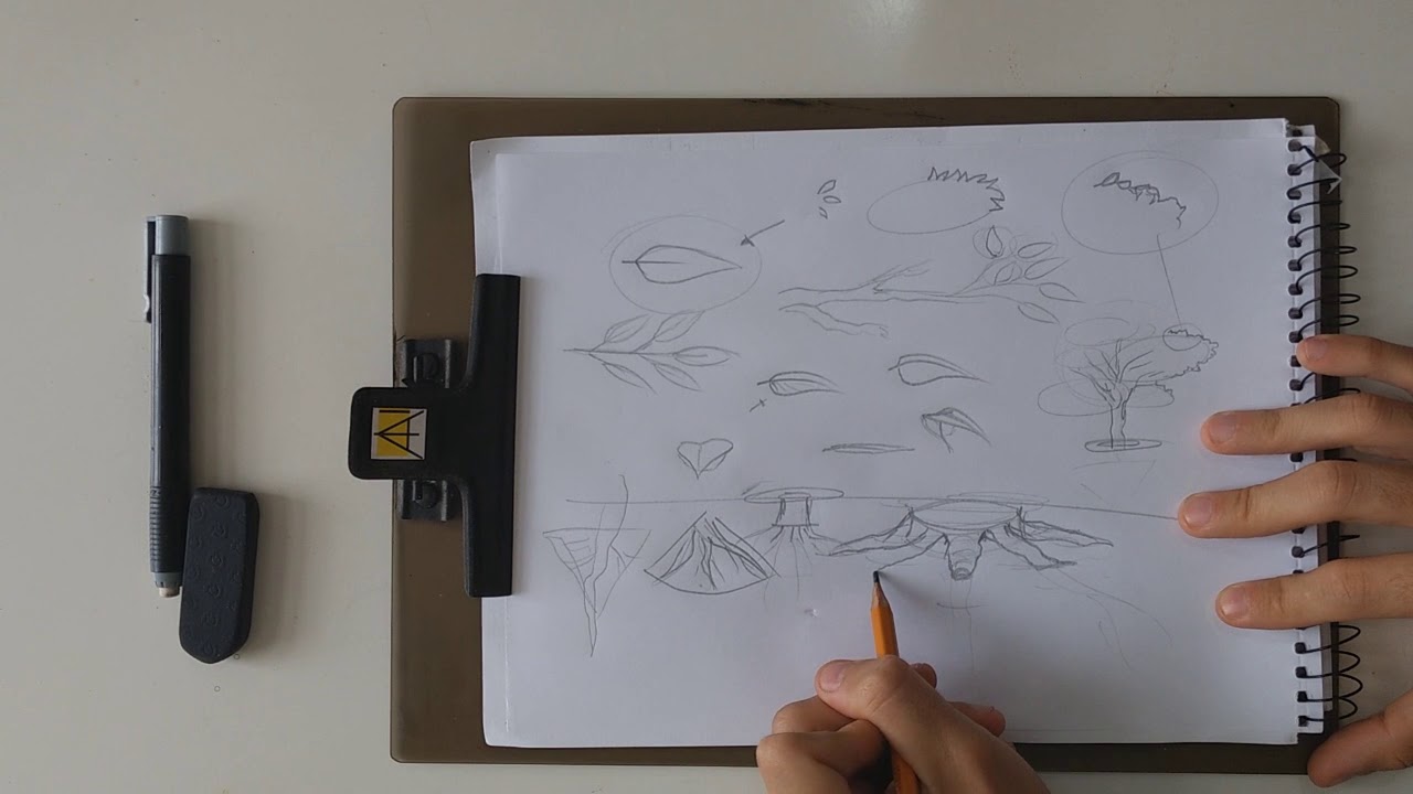 AULA DE DESENHO - 4/10 Anatomia das árvores 2
