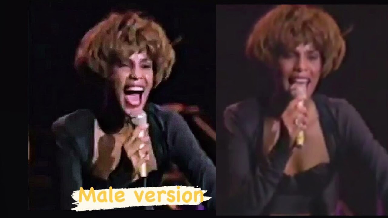 Whitney Houston - How Will I Know Live Japan 1991 MALE VERSION