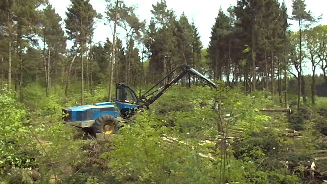 Harvester im Schulwald Tetenhusen