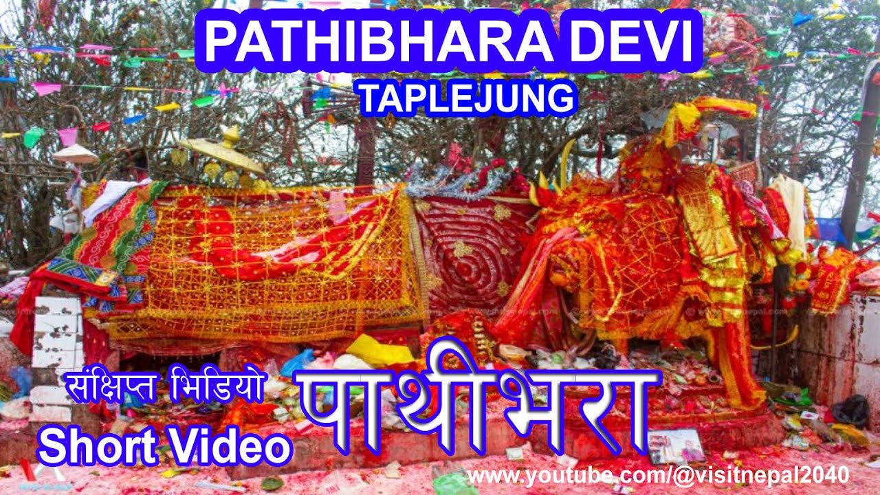 Pathibhara | पाथीभरा | Taplejung